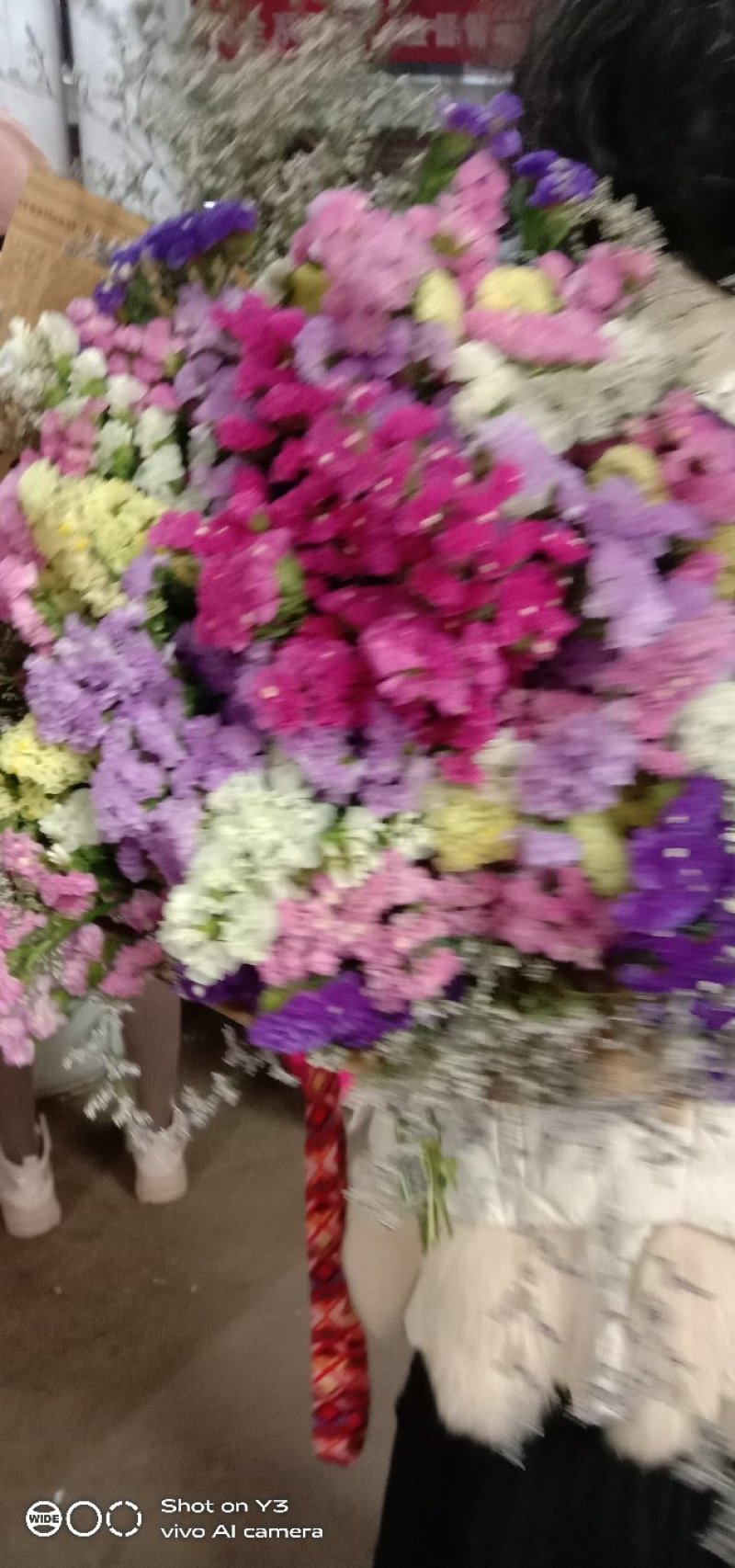 批发勿忘我鲜切花，可做干花，颜色齐全漂亮