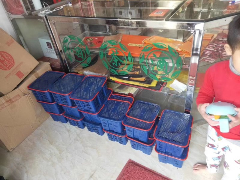 汕头金灶桑葚新鲜桑果桑子广东省内顺丰包邮产地直供