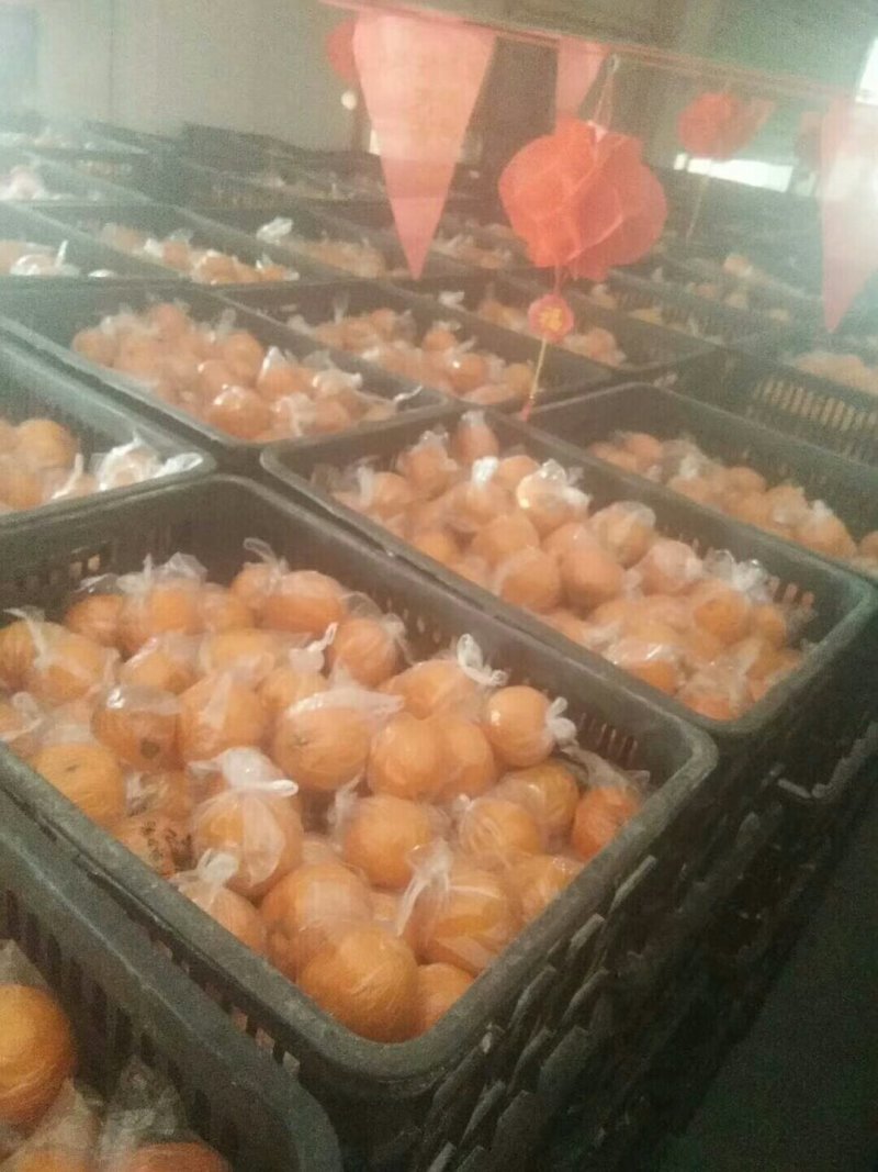 便宜。质量好，服务好，诚信交易有需要的联系我