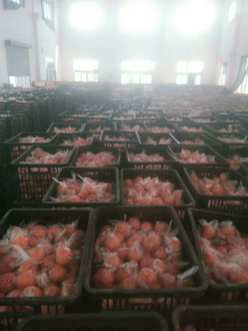 便宜。质量好，服务好，诚信交易有需要的联系我