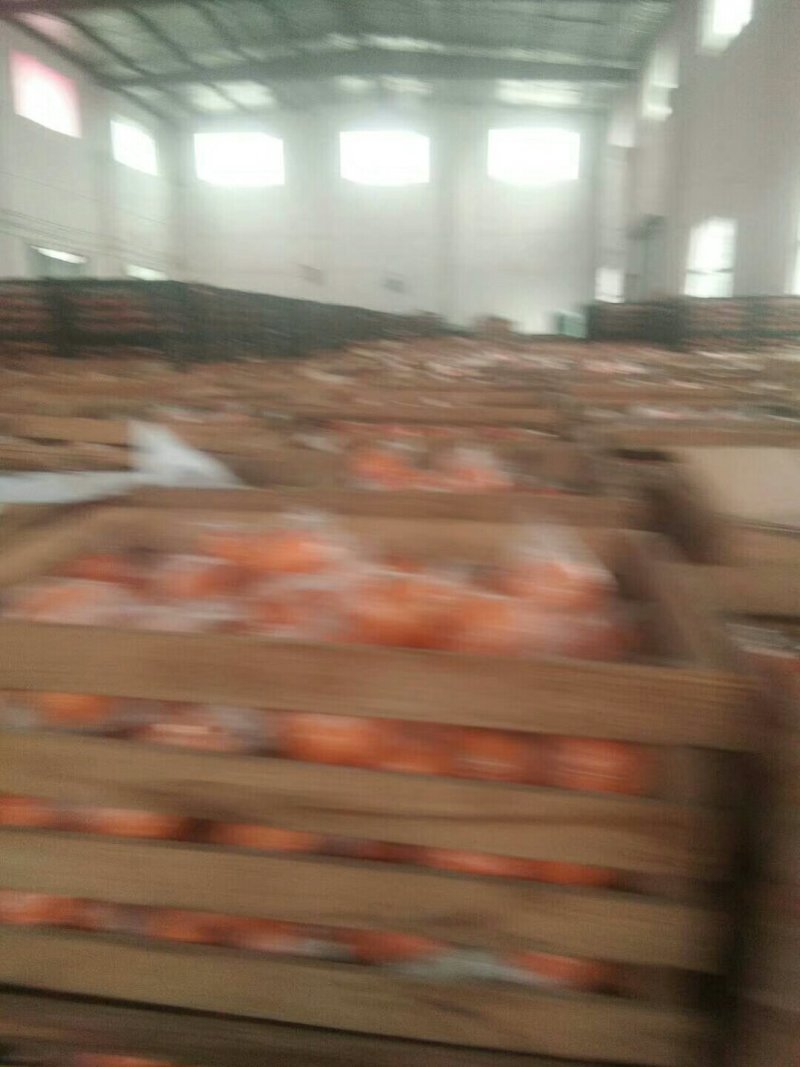 便宜。质量好，服务好，诚信交易有需要的联系我