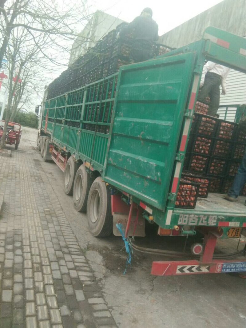 便宜。质量好，服务好，诚信交易有需要的联系我