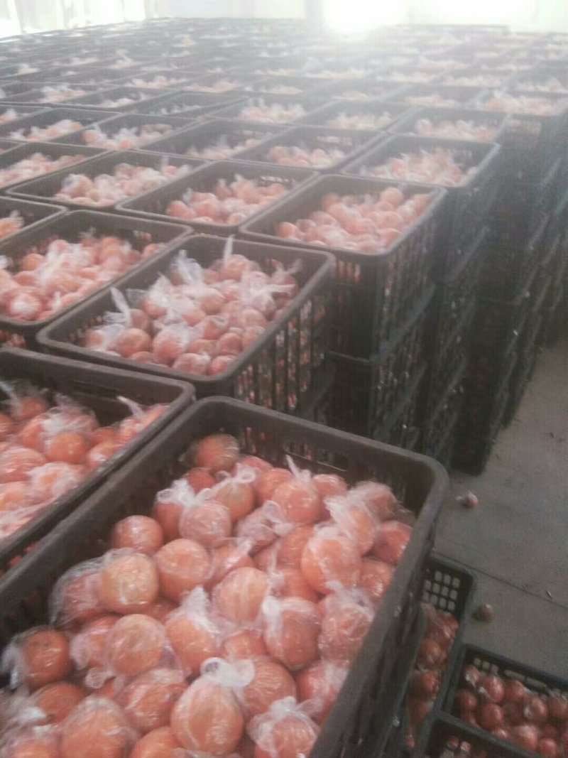 便宜。质量好，服务好，诚信交易有需要的联系我