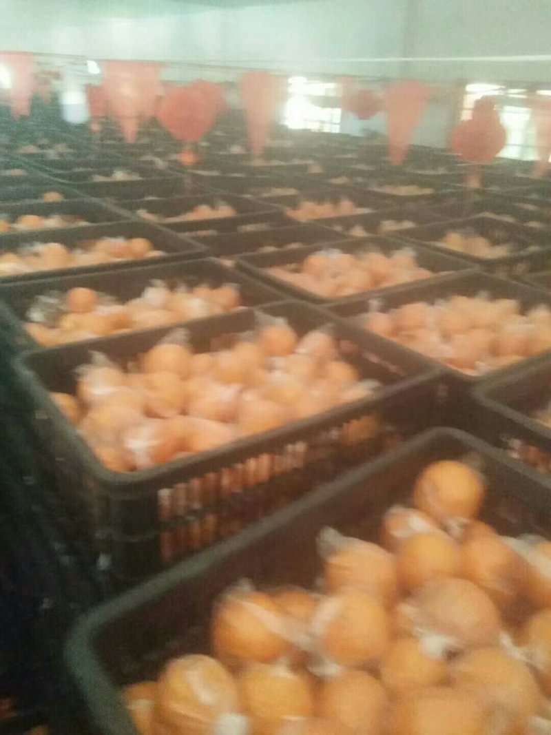 便宜。质量好，服务好，诚信交易有需要的联系我