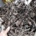 鱼腥草不含邮费50公斤起