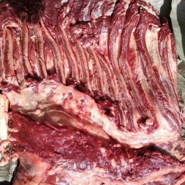 驴肉，新疆速冻驴肉，纯干货无注水