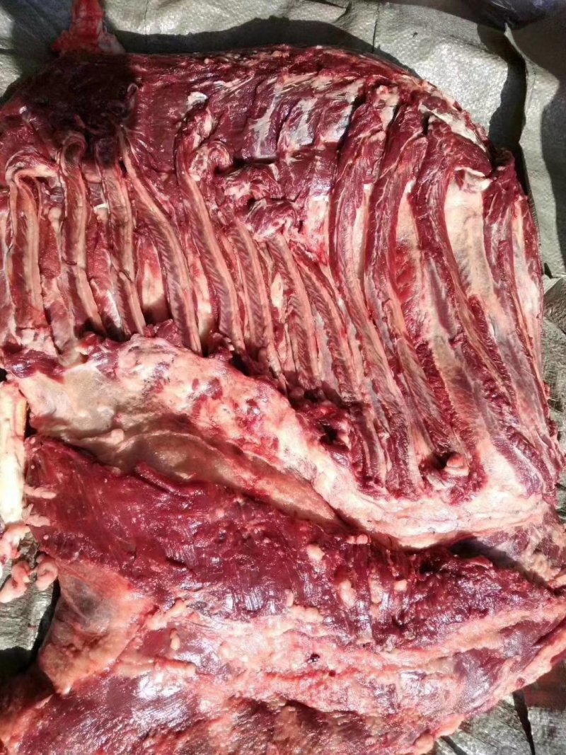 驴肉，新疆速冻驴肉，纯干货无注水