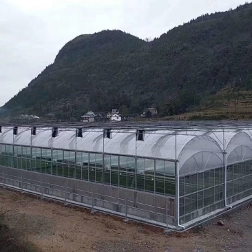 成套大棚