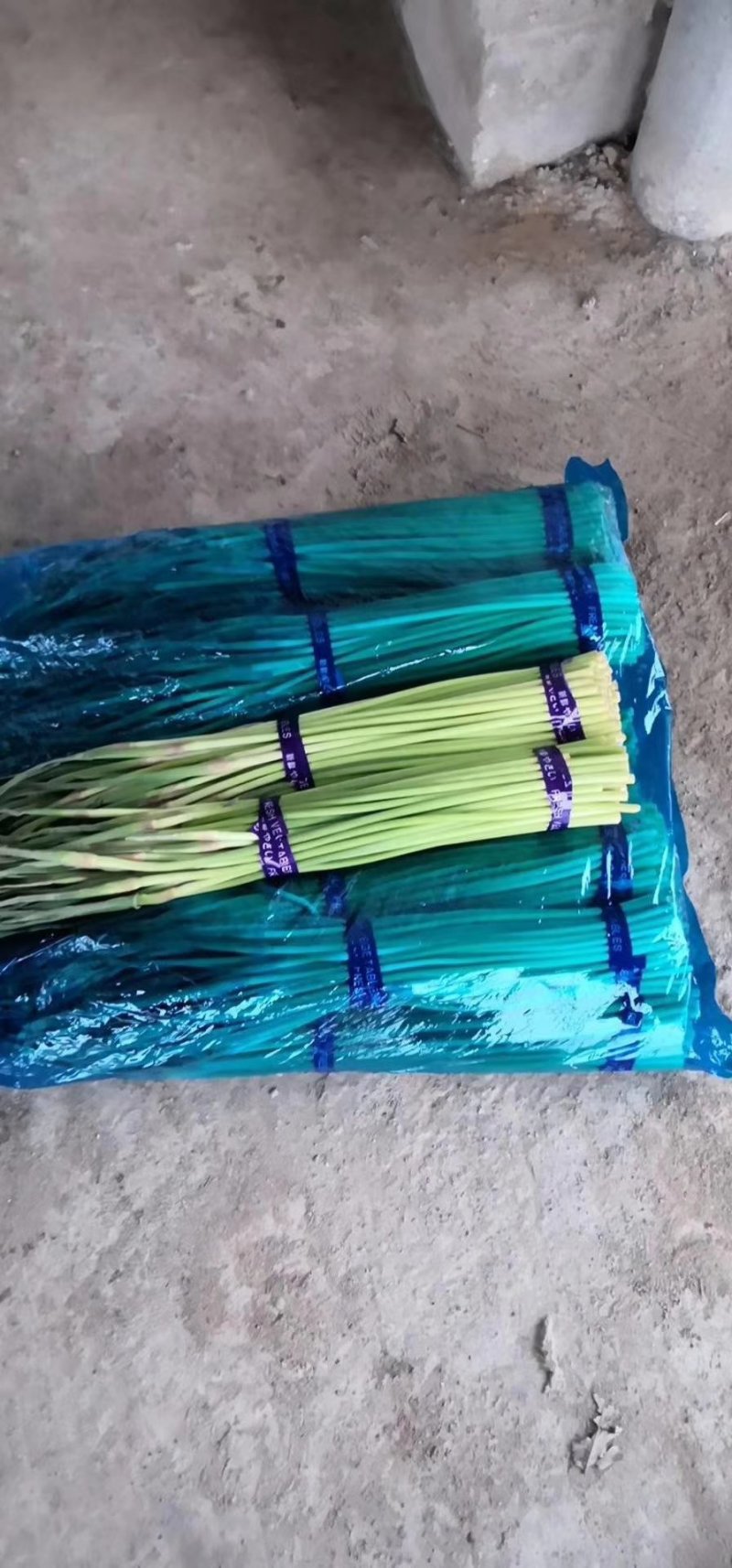 大量供应，红帽蒜薹，走市场，入冷库里面，欢迎联系