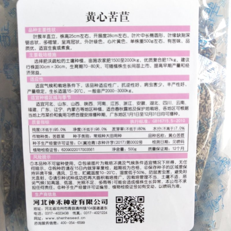 苦苣菜种子，四季播花叶苦菊种子黄心品种种子