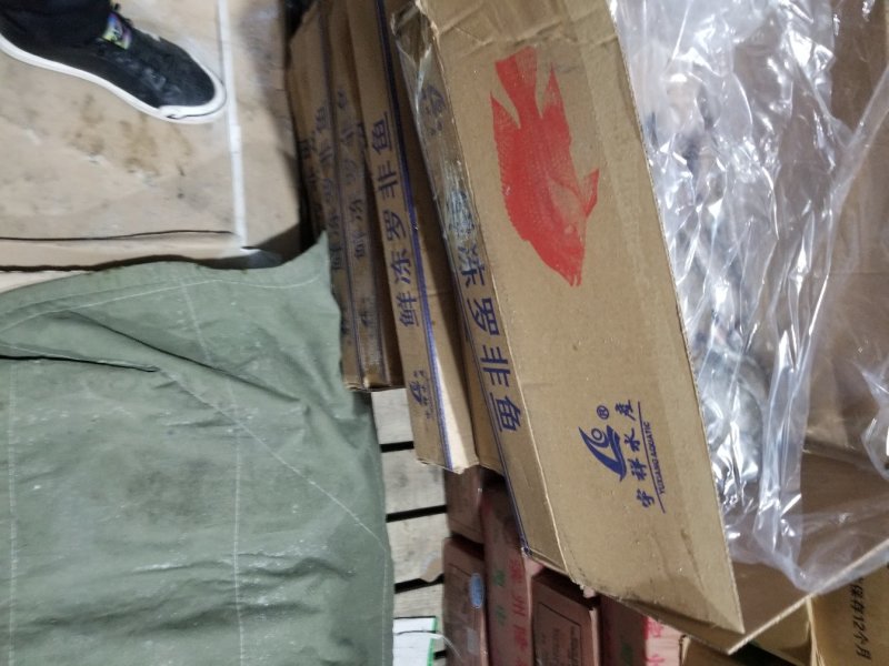 罗非鱼
