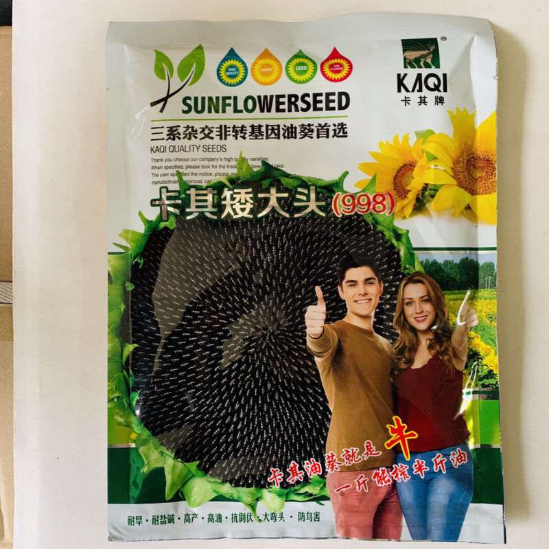 大头向日葵种子葵花籽种子观赏食用抗病高产出油量大