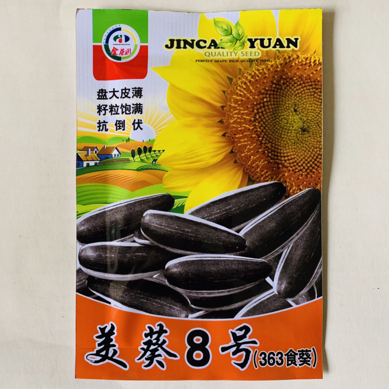 大头向日葵种子葵花籽种子观赏食用抗病高产出油量大