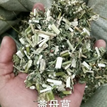 益母草益母全草干货无硫各种草药类中药材