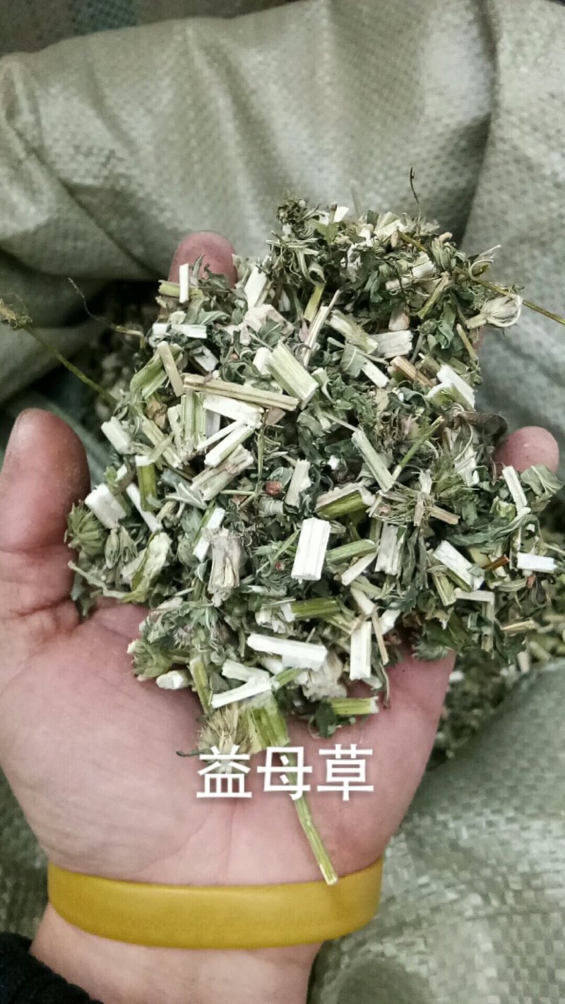 益母草益母全草干货无硫各种草药类中药材