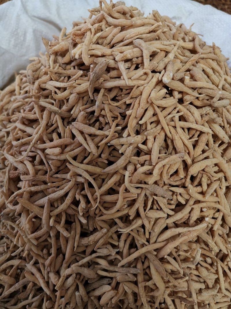 火太子参孩儿参正品无硫净货品质保证产地直销