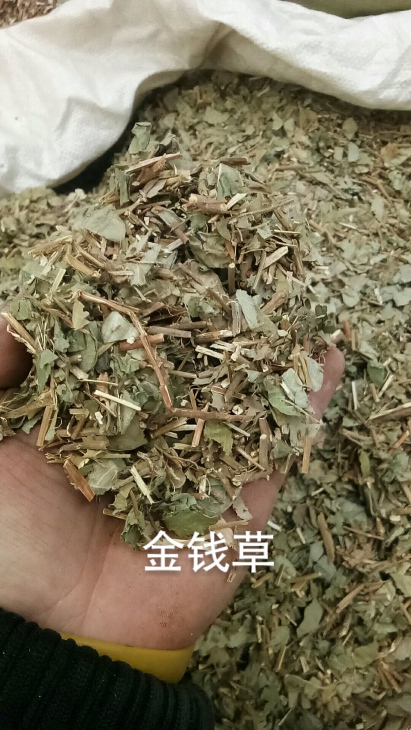 金钱草干货中药材各种草药类中药材