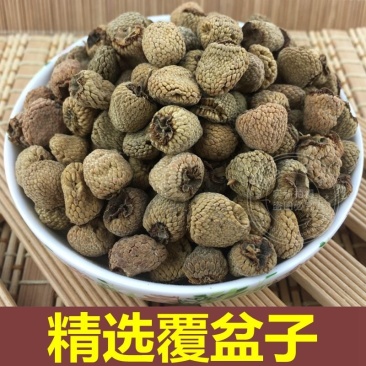 覆盆子浙江大颗粒覆盆产地直销各种规格品质保证