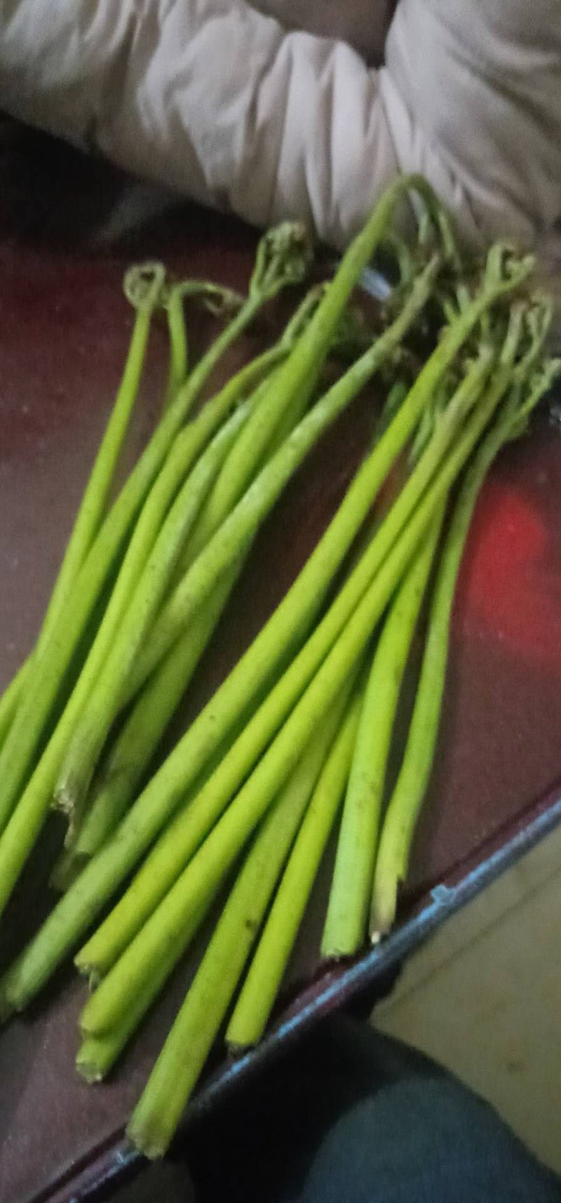 加工各种各样的蕨菜加工