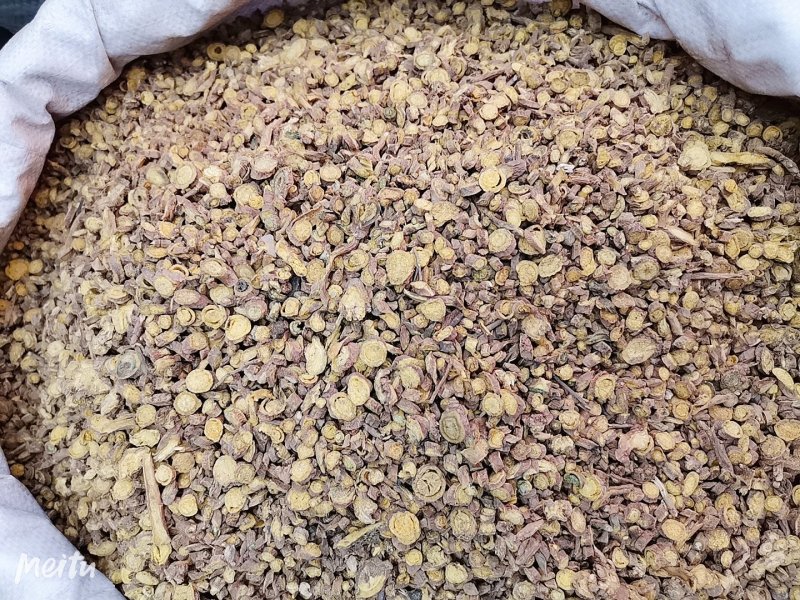 黄芩山西正品生黄芩炒黄芩无硫无添加品质保证