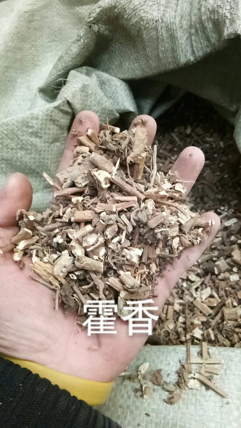 藿香藿香段广霍香土藿香排香草干货中草药