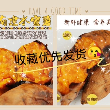 云南建水高原蜜薯大果（合适烤薯店）