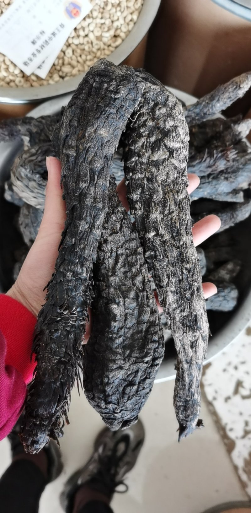 振兴药材批发供应肉苁蓉个选货常年供应肉苁蓉