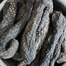 振兴药材批发供应肉苁蓉个选货常年供应肉苁蓉