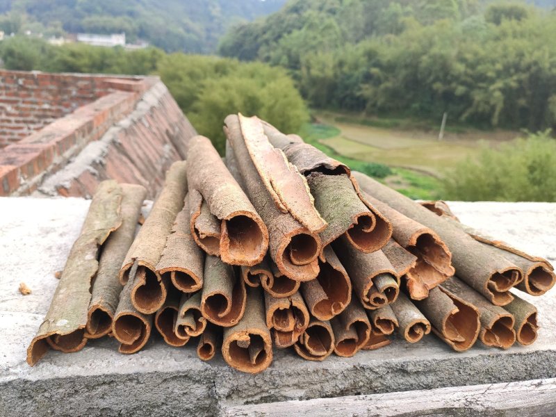 桂皮