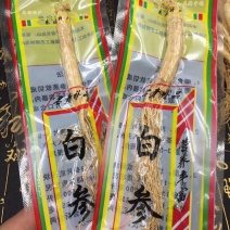 【10支包邮】长白山人参原皮生晒参白参足干可切片包邮