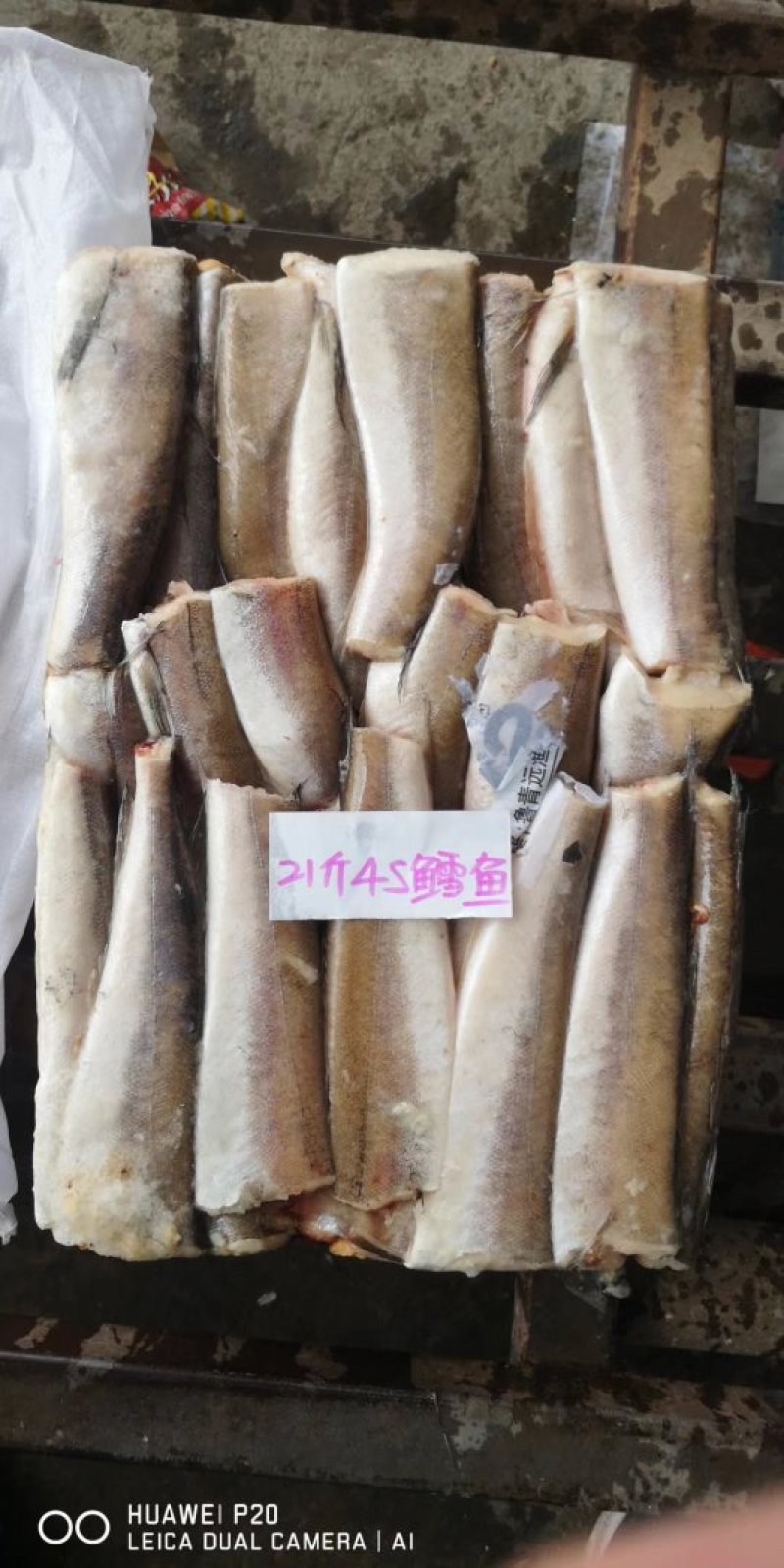 多种款多种型号优质鳕鱼