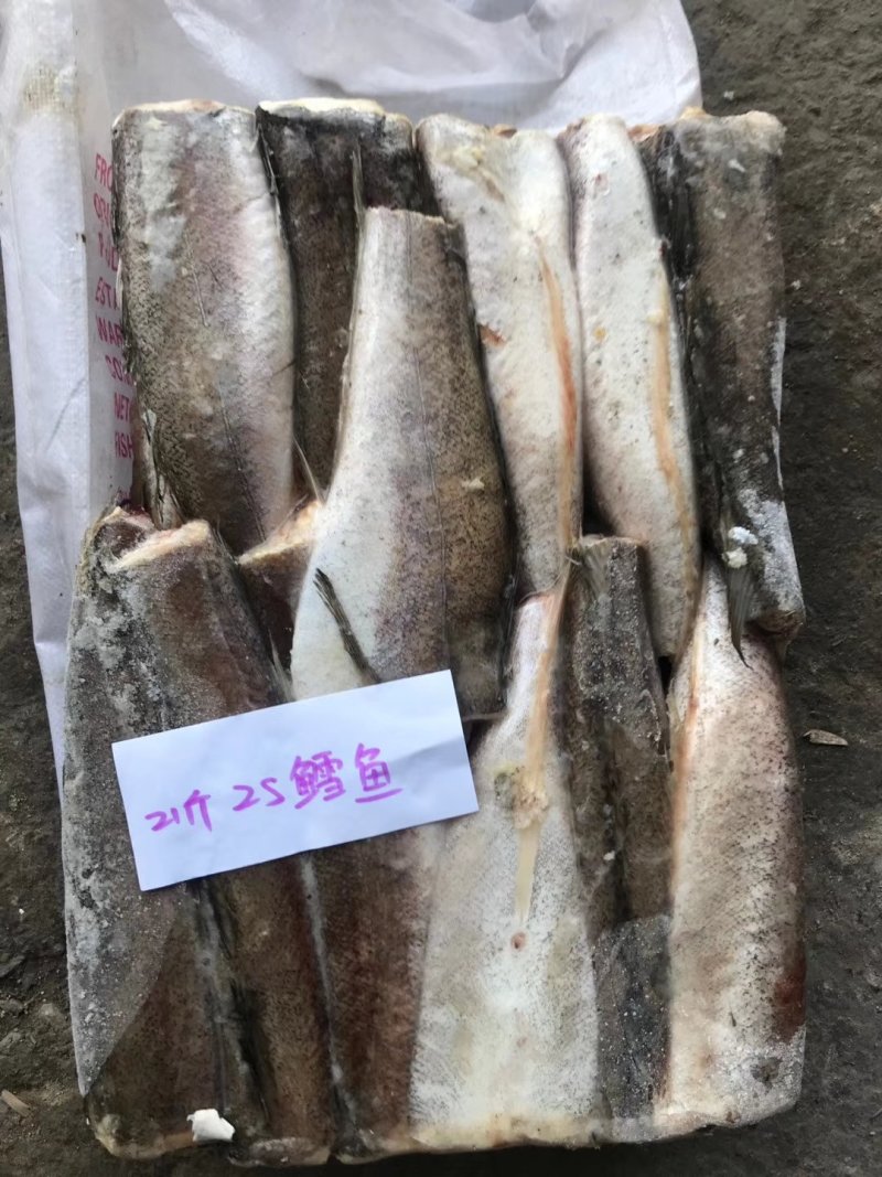 多种款多种型号优质鳕鱼