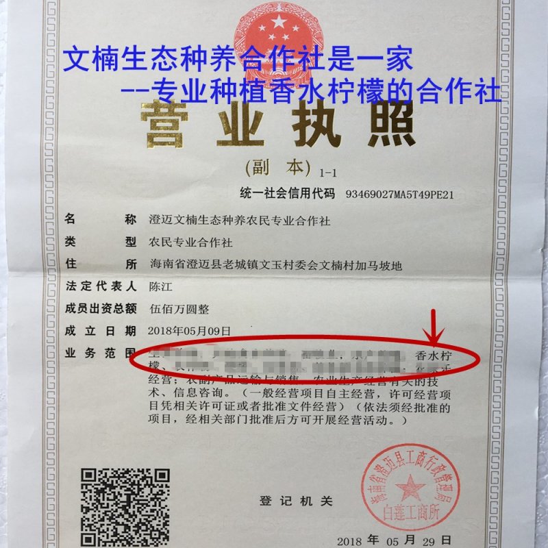 海南香水柠檬中果中小果1斤装3斤装包邮特惠产地直发