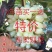 【火爆新品种】白玉葡萄苗马奶提子无核葡萄苗南北方种植