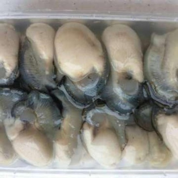 网红高压锅生蚝省内包邮