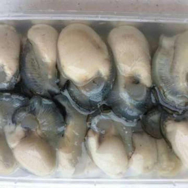 网红高压锅生蚝省内包邮