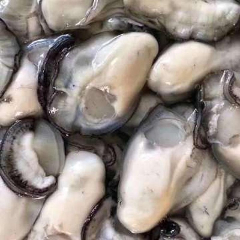 网红高压锅生蚝省内包邮