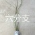 连翘树苗庭院观赏庭院种植花苗四季绿化苗黄老虎花苗