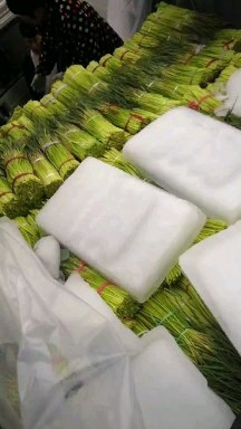 白帽蒜薹红帽蒜苔大量上市产地直供货源充足