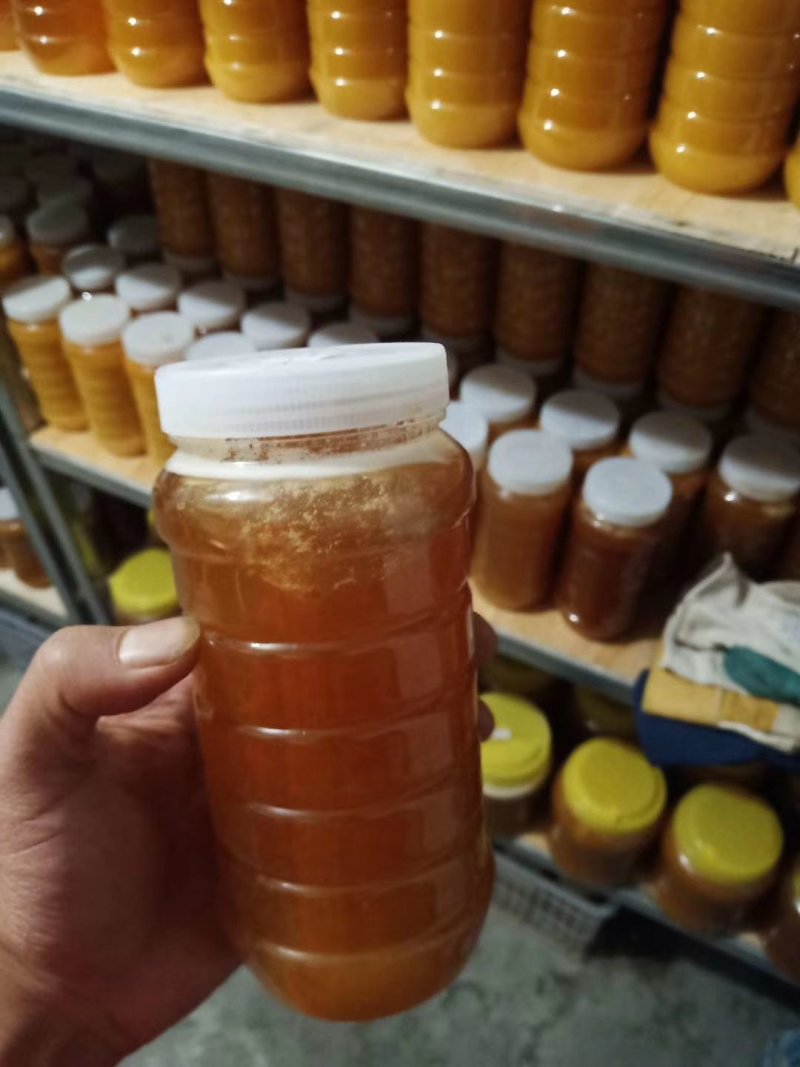 新疆伊犁精品蜂巢蜜1斤