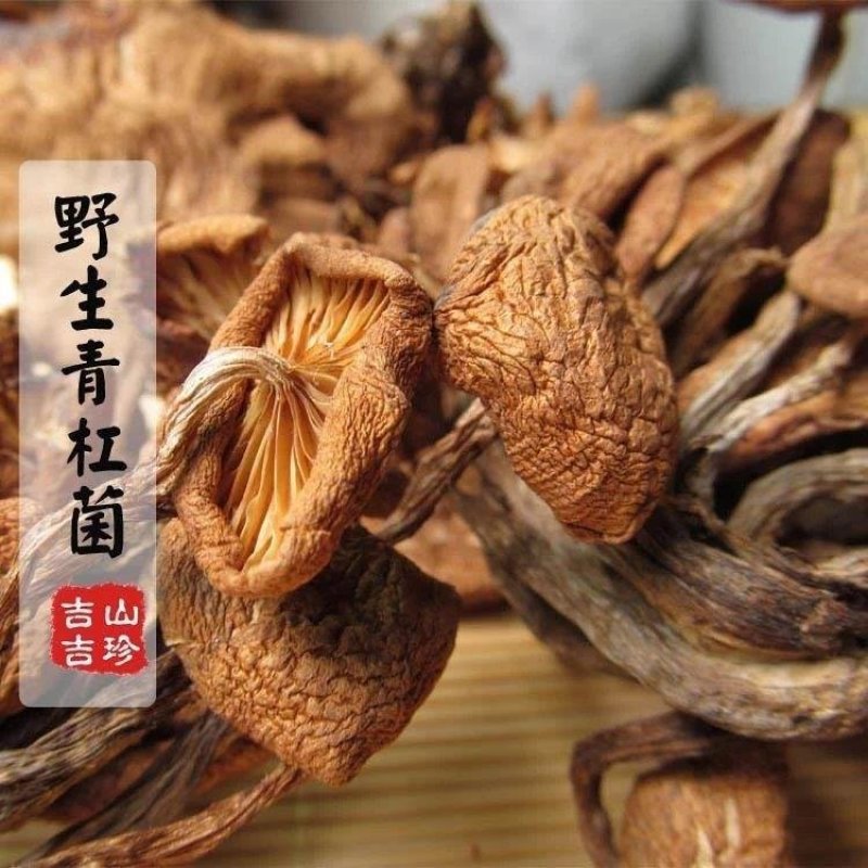 青杠菌青冈菌老鹰菌鸡丝菌树秋菌农家蘑菇产地直批