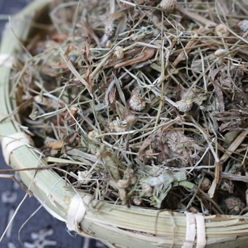 谷精草珍珠草鱼眼草各种草药类中药材
