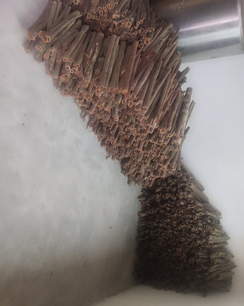大量新鲜桂皮