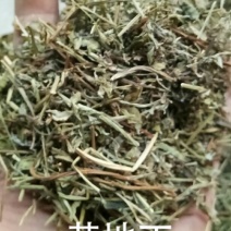 苦地丁地丁干货无硫各种草药类中药材