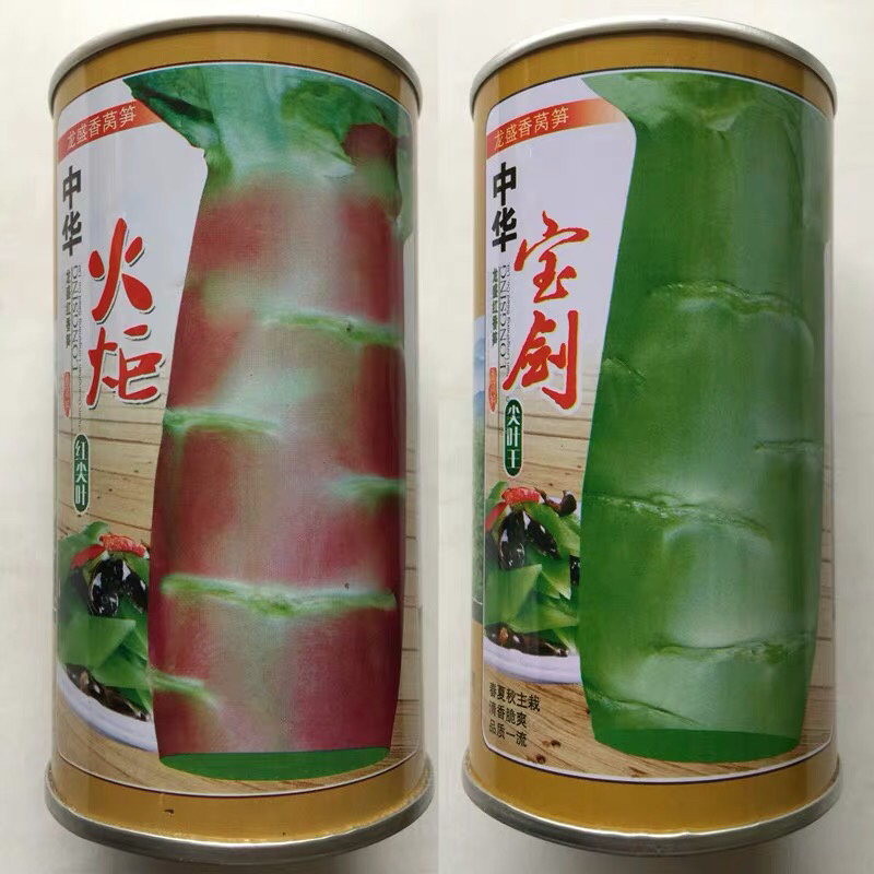 高产莴苣种子莴苣菜种子莴苣籽抗病蔬菜种子四季播种