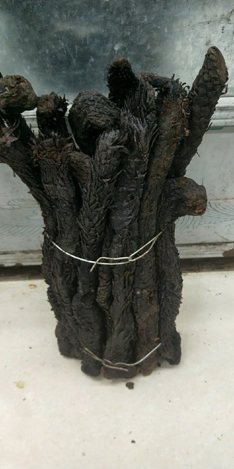精品特级软质肉苁蓉内蒙野生肉苁蓉批发零售量大从优