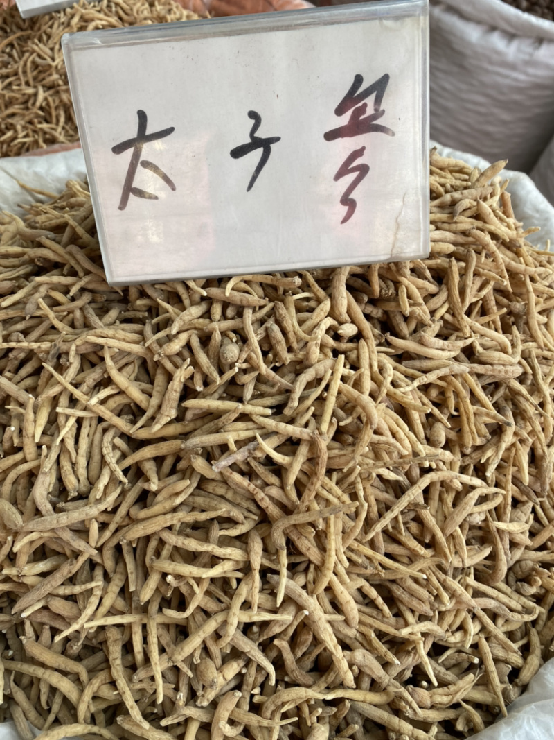 太子参孩儿参无硫产地直销批发各种中药材
