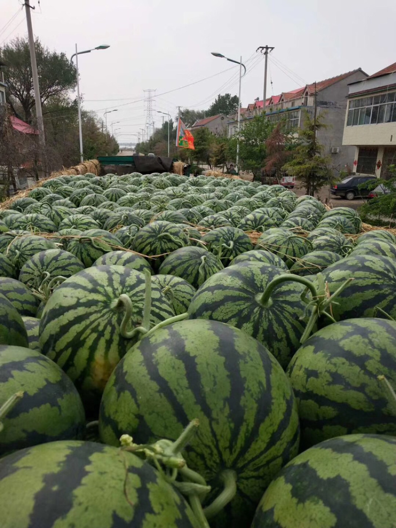 【推荐】尧沟甜王西瓜10斤打底9成熟4月10上市