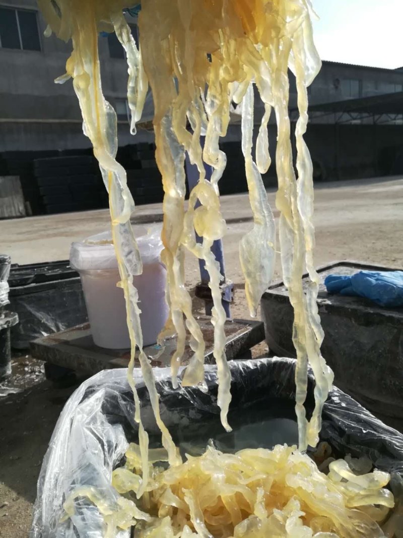 大量供应批发酒店食商超团购福利渤海湾捕捞海蜇丝海蜇头
