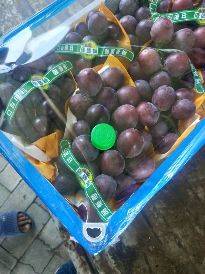 【热卖中】河北饶阳暖棚乒乓球葡萄，品种齐全规格齐全市场专供